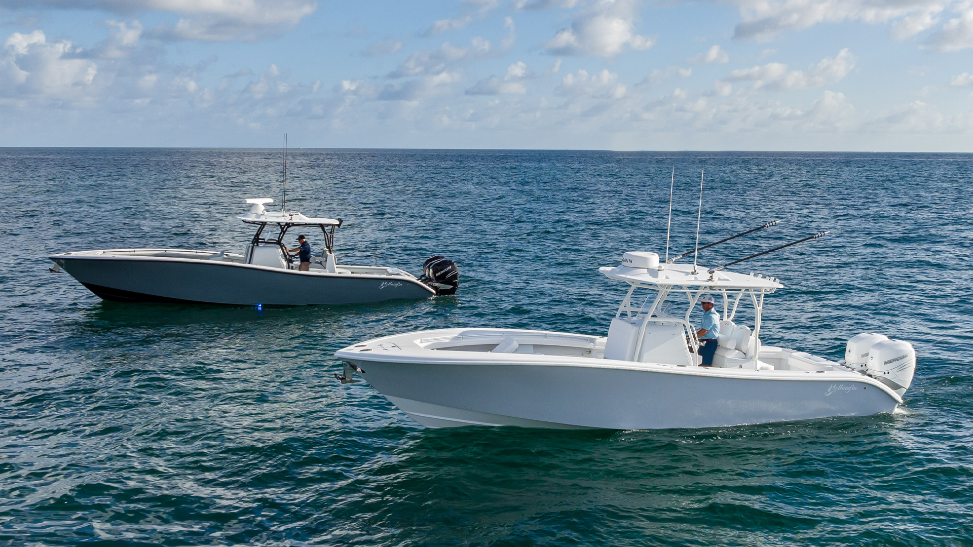 Two Yellowfin Images